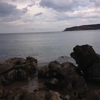 Corali